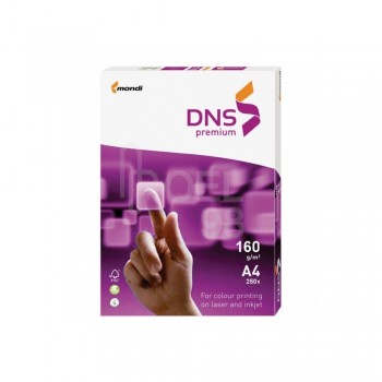 Картон DNS Premium 250 л. A4 , 160 g/m2